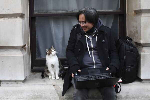 英国伦敦唐宁街10号首相官邸附近的拉里猫和摄影师。 - 俄罗斯卫星通讯社