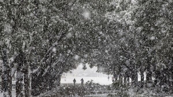 希腊雅典学校因降雪停课 - 俄罗斯卫星通讯社