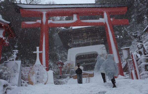 2014年2月，东京13年来最严重降雪的后果。 - 俄罗斯卫星通讯社