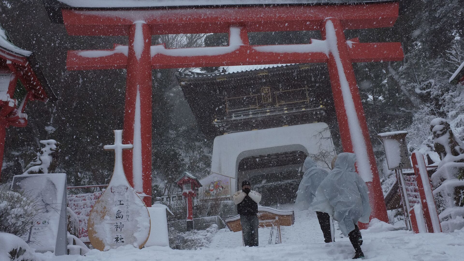 日本大雪致17人死亡110人受傷 - 俄羅斯衛星通訊社, 1920, 26.12.2022