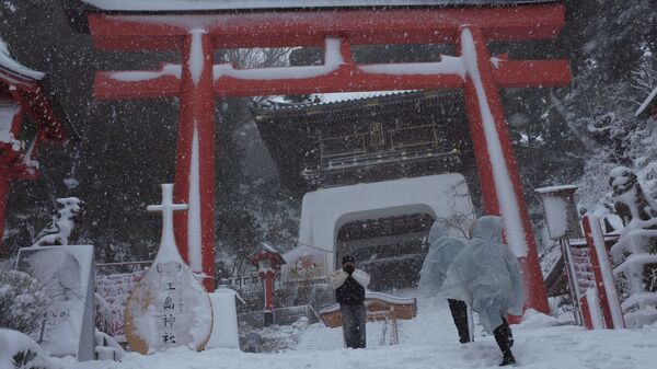 日本大雪致17人死亡110人受傷 - 俄羅斯衛星通訊社