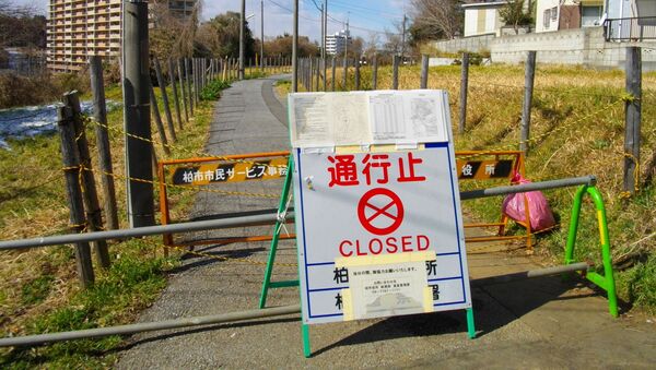 Испытавший на себе воздействие последствий аварии на АЭС Фукусима-1 японский город Касива - 俄羅斯衛星通訊社