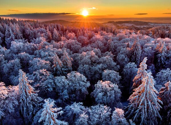 德國，法蘭克福不遠處白雪皚皚的森林。 - 俄羅斯衛星通訊社