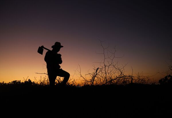 加沙城以东，夕阳下，一个巴勒斯坦农民拿着斧子的剪影。 - 俄罗斯卫星通讯社
