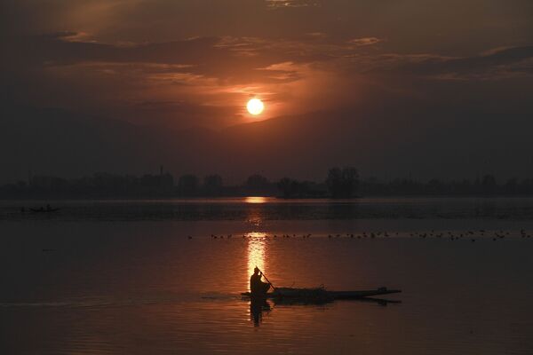 印度斯利那加，日落时分在达尔湖乘船的人。 - 俄罗斯卫星通讯社