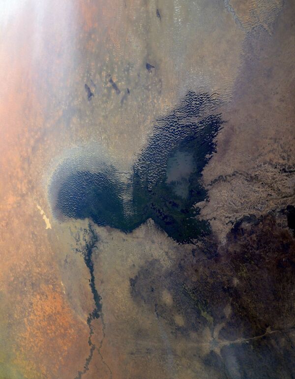 乍得，非洲湖。 - 俄羅斯衛星通訊社