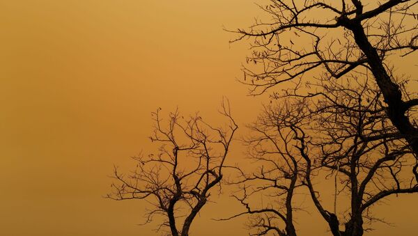 Вид на Сирокко во Франции  - 俄羅斯衛星通訊社