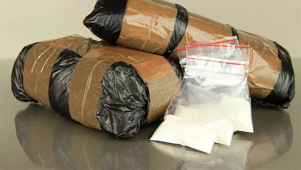 俄警方在弗拉基米尔州缴获700多公斤毒品和3吨制毒原料 - 俄罗斯卫星通讯社