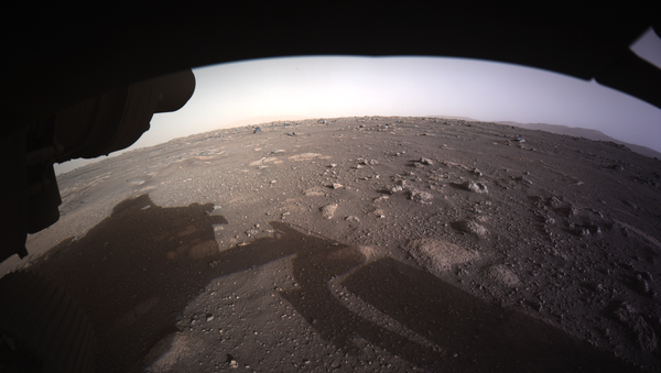 Фотографии, снятые исследовательским аппаратом NASA's Perseverance Mars Rover, который совершил посадку на Марсе в ночь на 19 февраля - 俄罗斯卫星通讯社