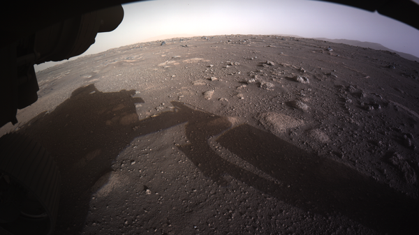 Фотографии, снятые исследовательским аппаратом NASA's Perseverance Mars Rover, который совершил посадку на Марсе в ночь на 19 февраля - 俄罗斯卫星通讯社