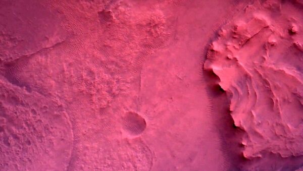 美国宇航局“毅力”号火星车使用向下看相机（Down-Look Camera）拍摄的照片。 - 俄罗斯卫星通讯社