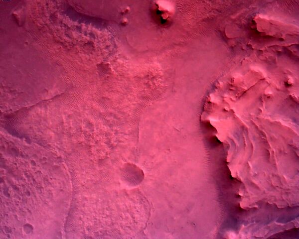美国宇航局“毅力”号火星车使用向下看相机（Down-Look Camera）拍摄的照片。 - 俄罗斯卫星通讯社