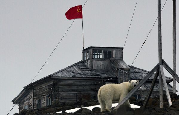 一隻野生北極熊在法蘭士約瑟夫地群島胡克島極地科考站“寂靜”港玩耍。
 - 俄羅斯衛星通訊社