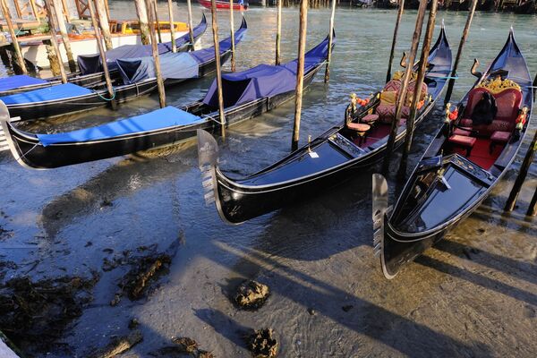 裸露着河床的威尼斯市运河。

 - 俄罗斯卫星通讯社
