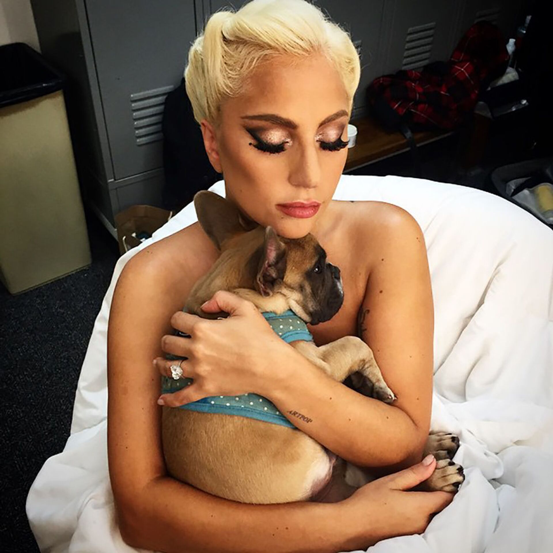 Lady Gaga助手談歌手愛犬被搶一事 （圖片） - 俄羅斯衛星通訊社, 1920, 02.03.2021