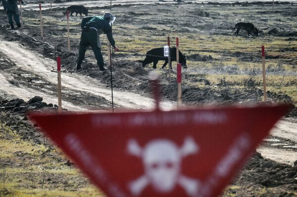 阿塞拜疆境内进行扫雷排爆作业。
 - 俄罗斯卫星通讯社