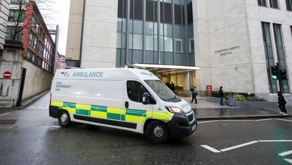 英女王丈夫心臟手術成功 - 俄羅斯衛星通訊社