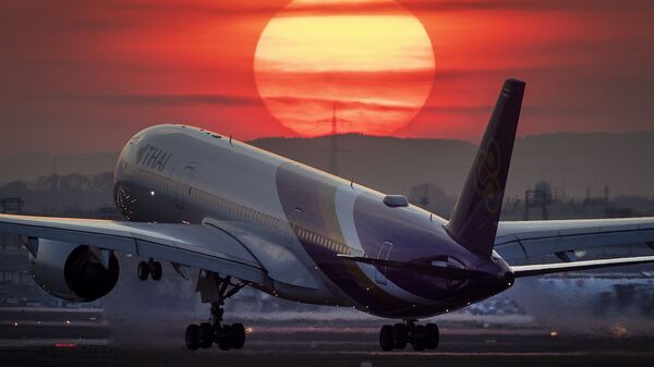 法兰克福机场 - 俄罗斯卫星通讯社