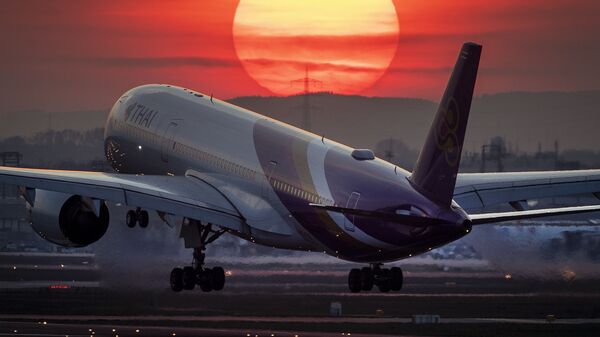 法兰克福机场 - 俄罗斯卫星通讯社