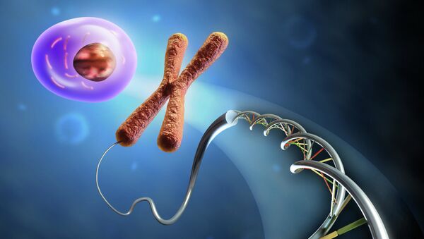 Образование клетки из ДНК и хромосом - 俄罗斯卫星通讯社