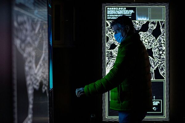 霍斯维斯的作品可以观看数小时，而不会把视线移开。 - 俄罗斯卫星通讯社