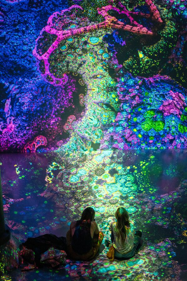 分形图形由几何形状构成，这些几何图形又由几部分组成，每个部分都与整体图形相似。 - 俄罗斯卫星通讯社