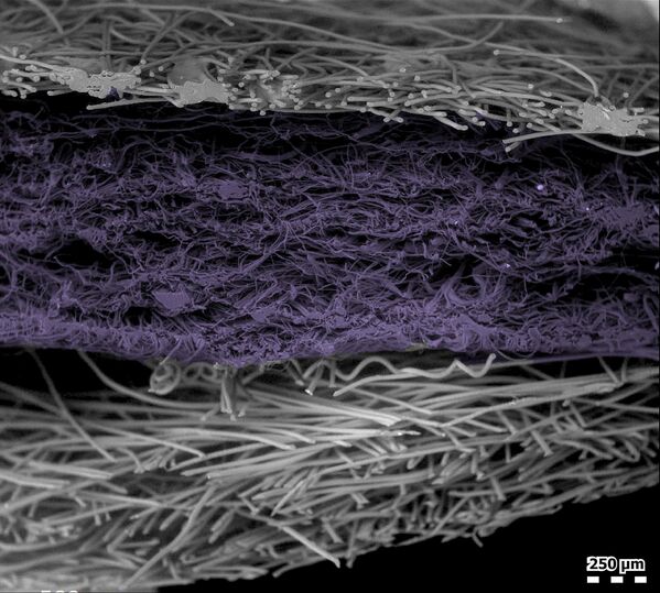 顯微鏡下N95型防護口罩其中一層的橫截面。 顯微鏡下N95型防護口罩其中一層的橫截面。 - 俄羅斯衛星通訊社