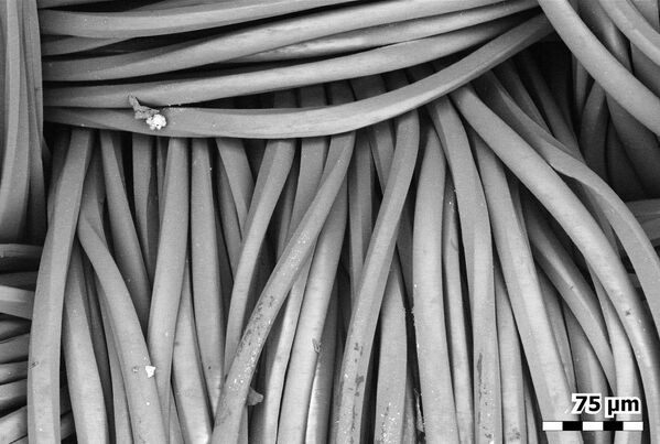 顯微鏡下的聚酯口罩纖維。 顯微鏡下的聚酯口罩纖維。 - 俄羅斯衛星通訊社