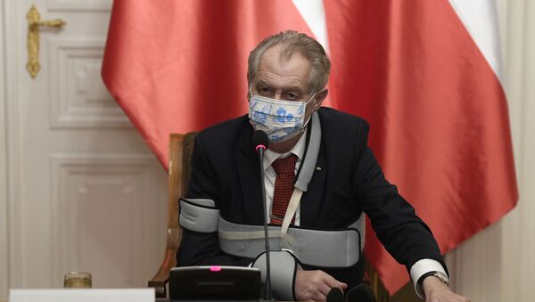 Президент Чехии Милош Земан - 俄羅斯衛星通訊社