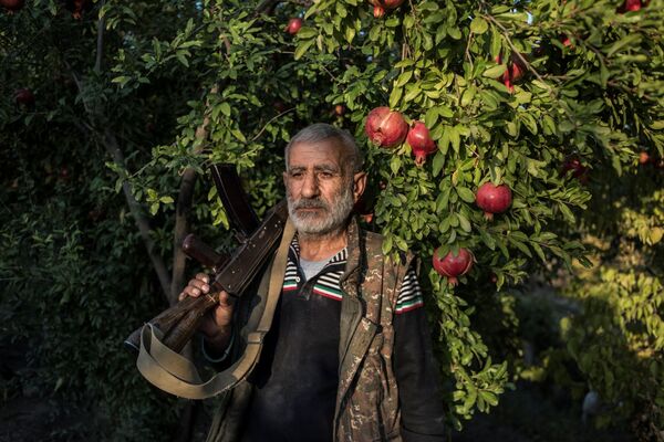 纳卡地区一位当地居民站在他自家院子的石榴园里。 - 俄罗斯卫星通讯社