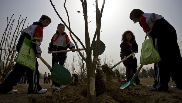 Китайские школьники сажают деревья в недавно построенном общественном парке в связи с открытием Международного года лесов в субботу в Пекине. - 俄羅斯衛星通訊社