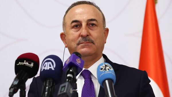 土耳其外長：俄烏外長會晤或將在未來兩周內舉行 - 俄羅斯衛星通訊社