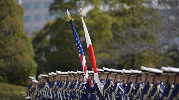 Национальные флаги Японии и США - 俄羅斯衛星通訊社