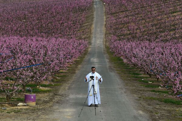 神父在桃树园中拍摄祷告。 - 俄罗斯卫星通讯社