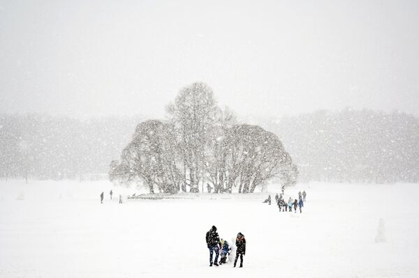 莫斯科市降雪天气。 - 俄罗斯卫星通讯社