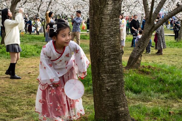 武汉市民在东湖观赏樱花。 - 俄罗斯卫星通讯社