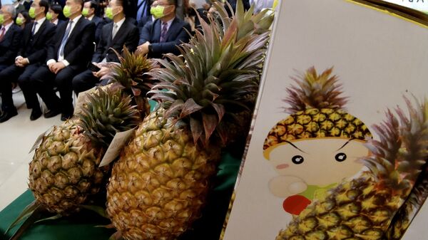 中国大陆禁止一百多项台湾产食品进口 - 俄罗斯卫星通讯社