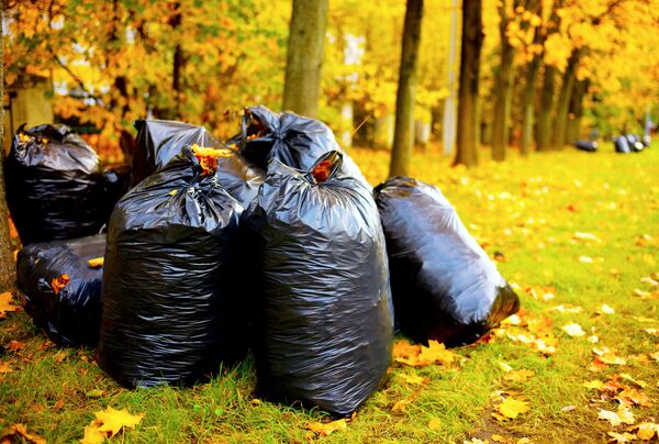 莫斯科街上清理好的落葉。 - 俄羅斯衛星通訊社