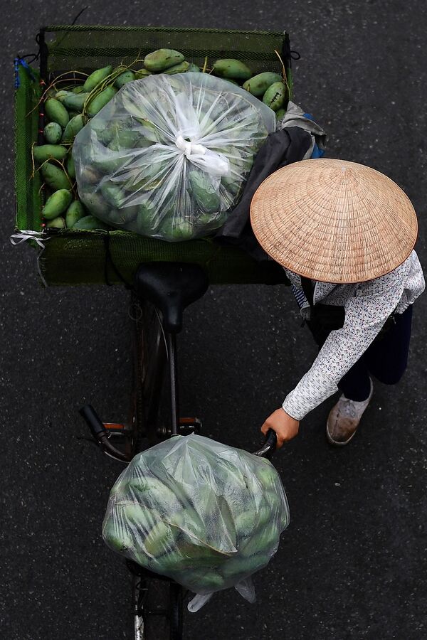 戴着被称为“Non La”的越南斗笠，妇女们每天可以赚到8美元。 - 俄罗斯卫星通讯社