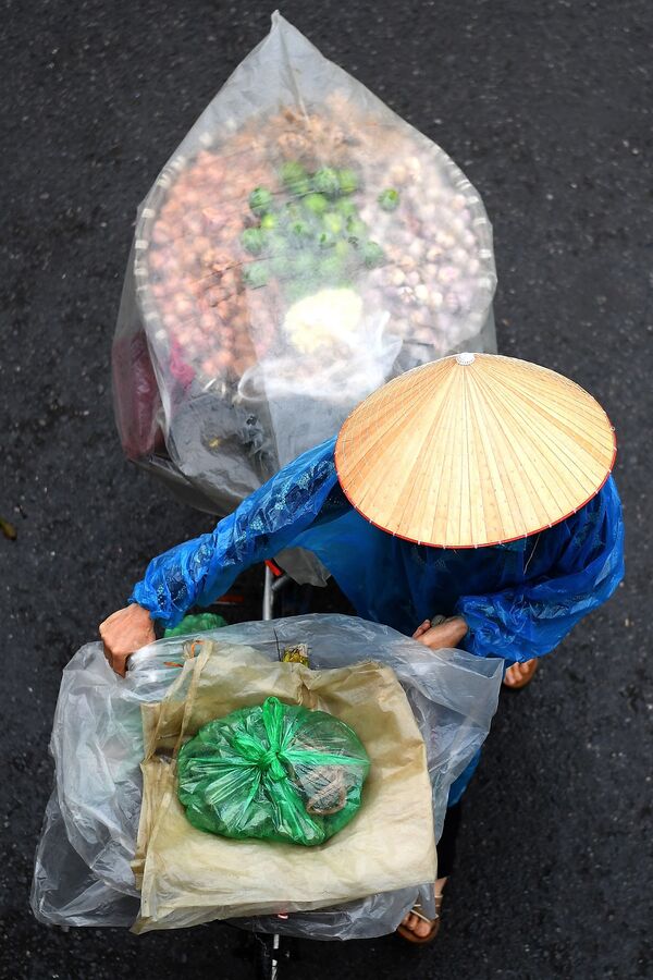 河内，推着自行车卖蔬菜的商贩。 - 俄罗斯卫星通讯社