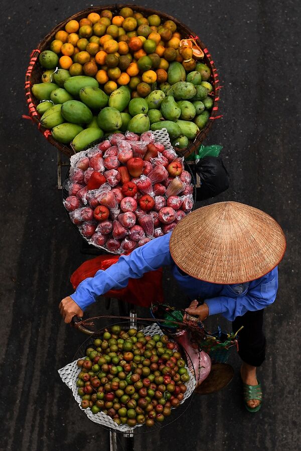 河内，推着自行车卖水果的商贩。 - 俄罗斯卫星通讯社