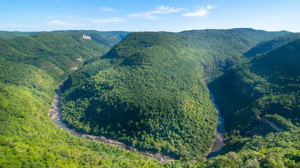 巴西 - 俄罗斯卫星通讯社