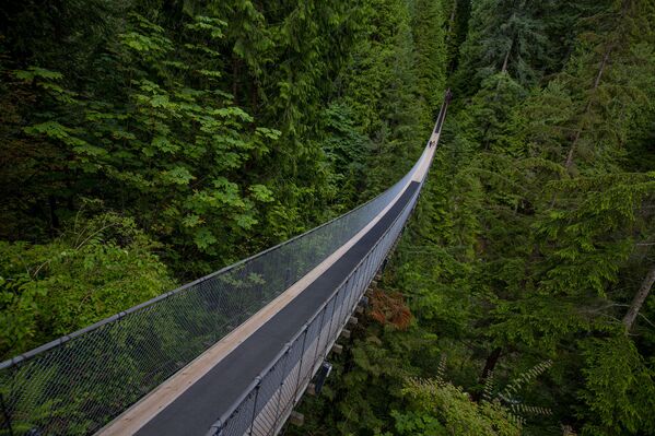 加拿大卡皮拉諾吊橋。 加拿大卡皮拉諾吊橋。 - 俄羅斯衛星通訊社