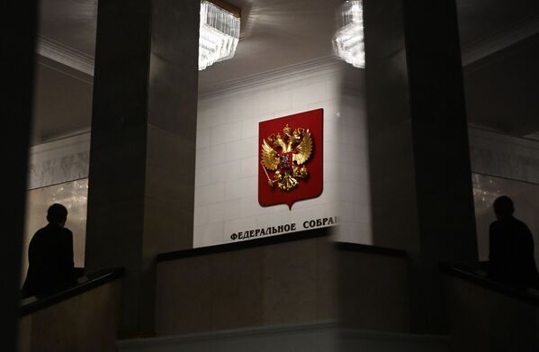 俄罗斯联邦国家杜马大楼里。 - 俄罗斯卫星通讯社