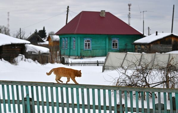 鄂木斯克州乌斯季伊希姆村。 - 俄罗斯卫星通讯社