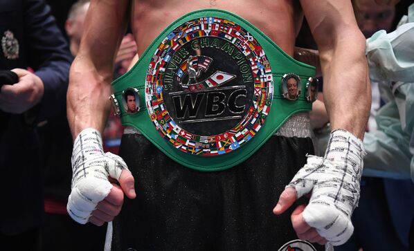 拳击争霸赛，西利亚金VS阿卜杜戈富罗夫。 - 俄罗斯卫星通讯社