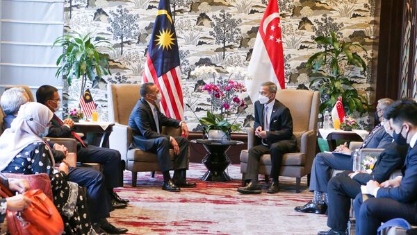 Глава МИД Сингапура Вивиан Балакришнан и МИД Малайзии Хишаммуддин бин Тун Хуссейн во время переговоров в Малайзии - 俄羅斯衛星通訊社