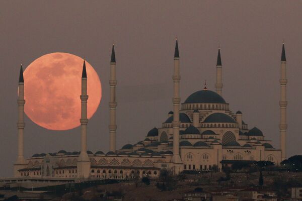 伊斯坦布尔的满月 - 俄罗斯卫星通讯社