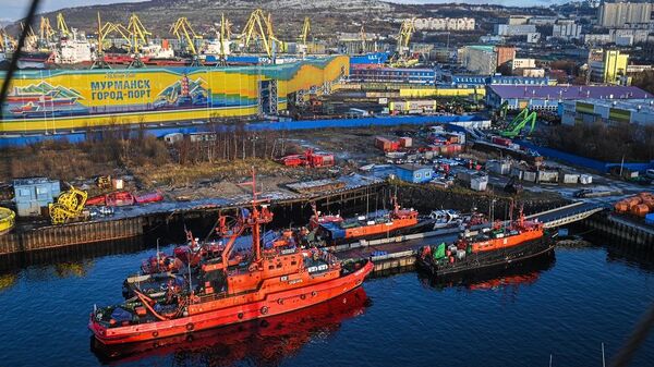 俄渔业企业在测试一条从摩尔曼斯克向中国运输鱼类产品的新物流线路。 - 俄罗斯卫星通讯社