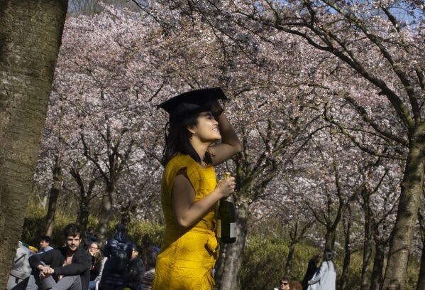 阿姆斯特丹，櫻花樹下拍照的女孩。 - 俄羅斯衛星通訊社
